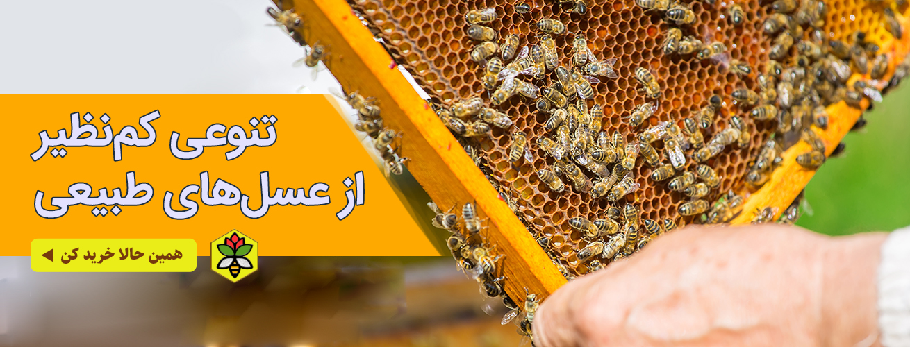 عسل‌های طبیعی شهدگل